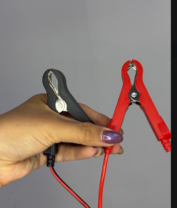 Cargador Inteligente de Baterías de 12 V con Reparación por Pulsos